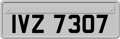 IVZ7307
