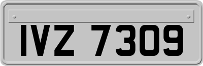 IVZ7309