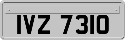 IVZ7310