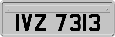 IVZ7313