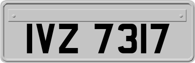 IVZ7317
