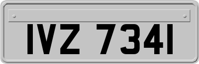 IVZ7341