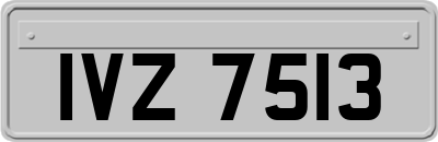 IVZ7513
