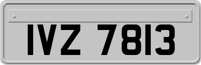 IVZ7813