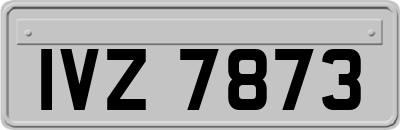 IVZ7873