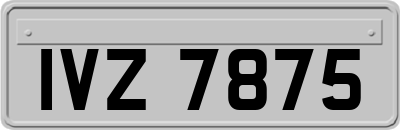 IVZ7875