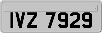 IVZ7929