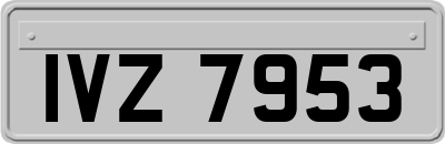 IVZ7953