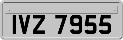 IVZ7955