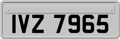IVZ7965
