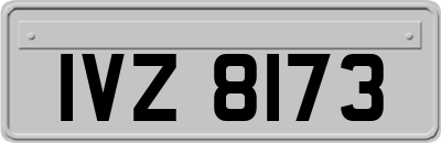 IVZ8173