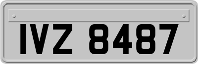 IVZ8487