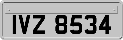 IVZ8534