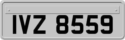 IVZ8559