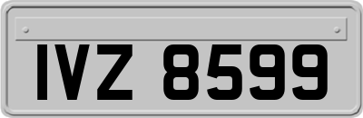 IVZ8599
