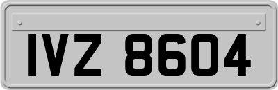 IVZ8604
