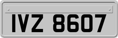 IVZ8607