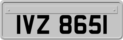IVZ8651