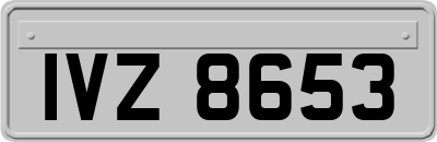 IVZ8653