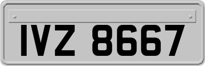 IVZ8667