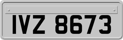 IVZ8673