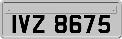 IVZ8675