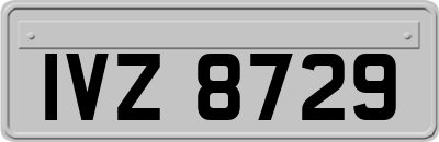 IVZ8729
