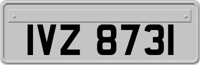 IVZ8731