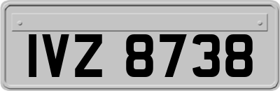 IVZ8738