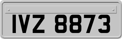 IVZ8873
