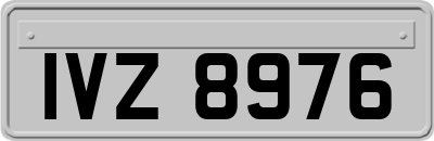 IVZ8976
