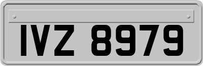 IVZ8979