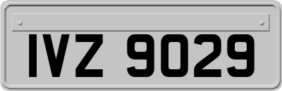 IVZ9029