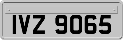 IVZ9065