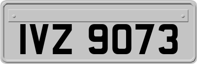 IVZ9073