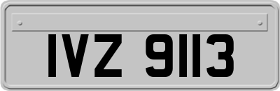 IVZ9113