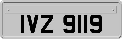 IVZ9119