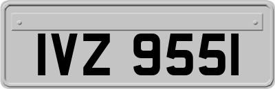 IVZ9551
