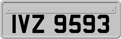 IVZ9593