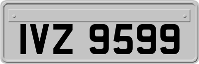 IVZ9599
