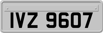 IVZ9607