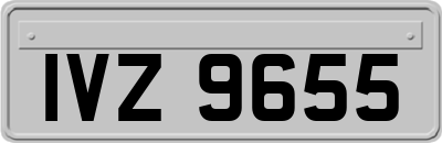 IVZ9655