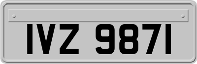 IVZ9871
