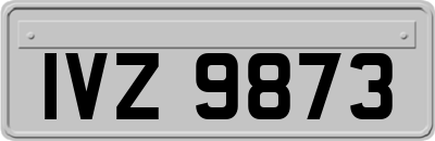 IVZ9873