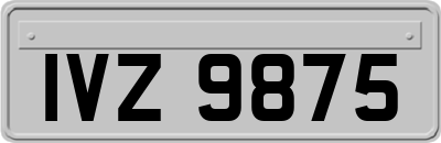 IVZ9875