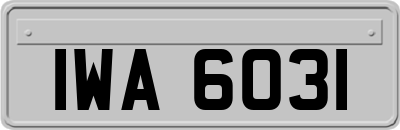 IWA6031