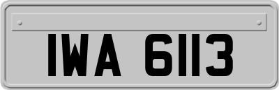 IWA6113