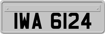IWA6124