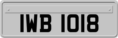 IWB1018