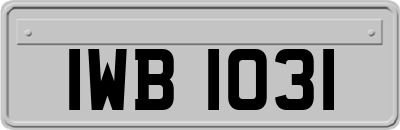 IWB1031